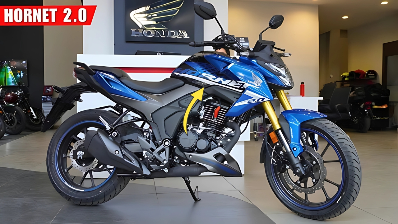 Honda Hornet 2.0